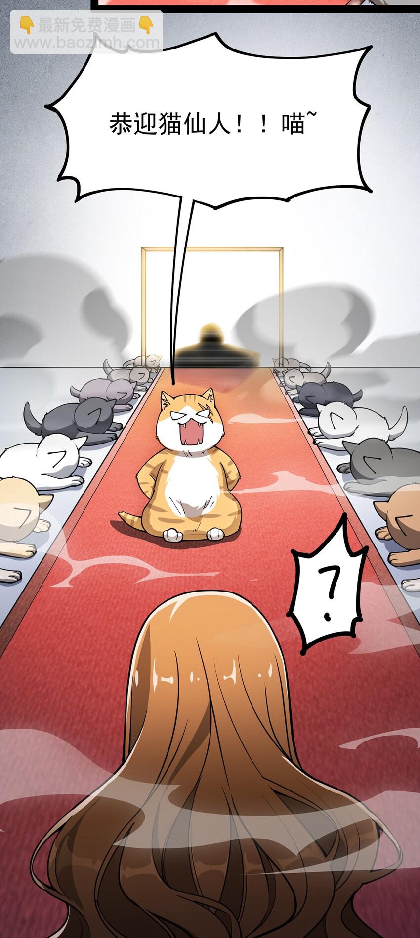 036 喵仙人出场！13