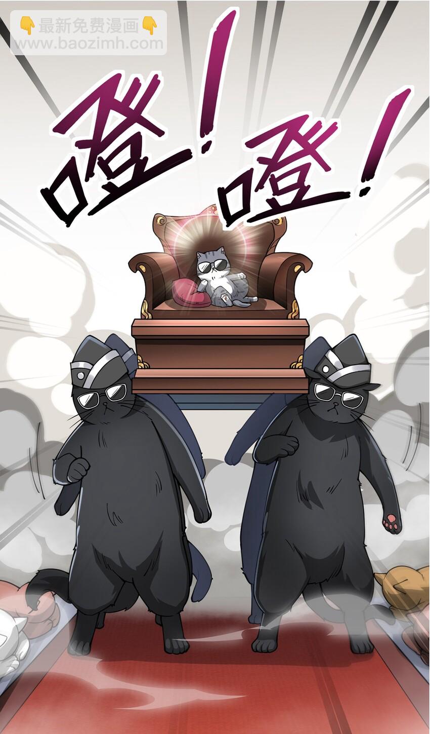 036 喵仙人出场！14