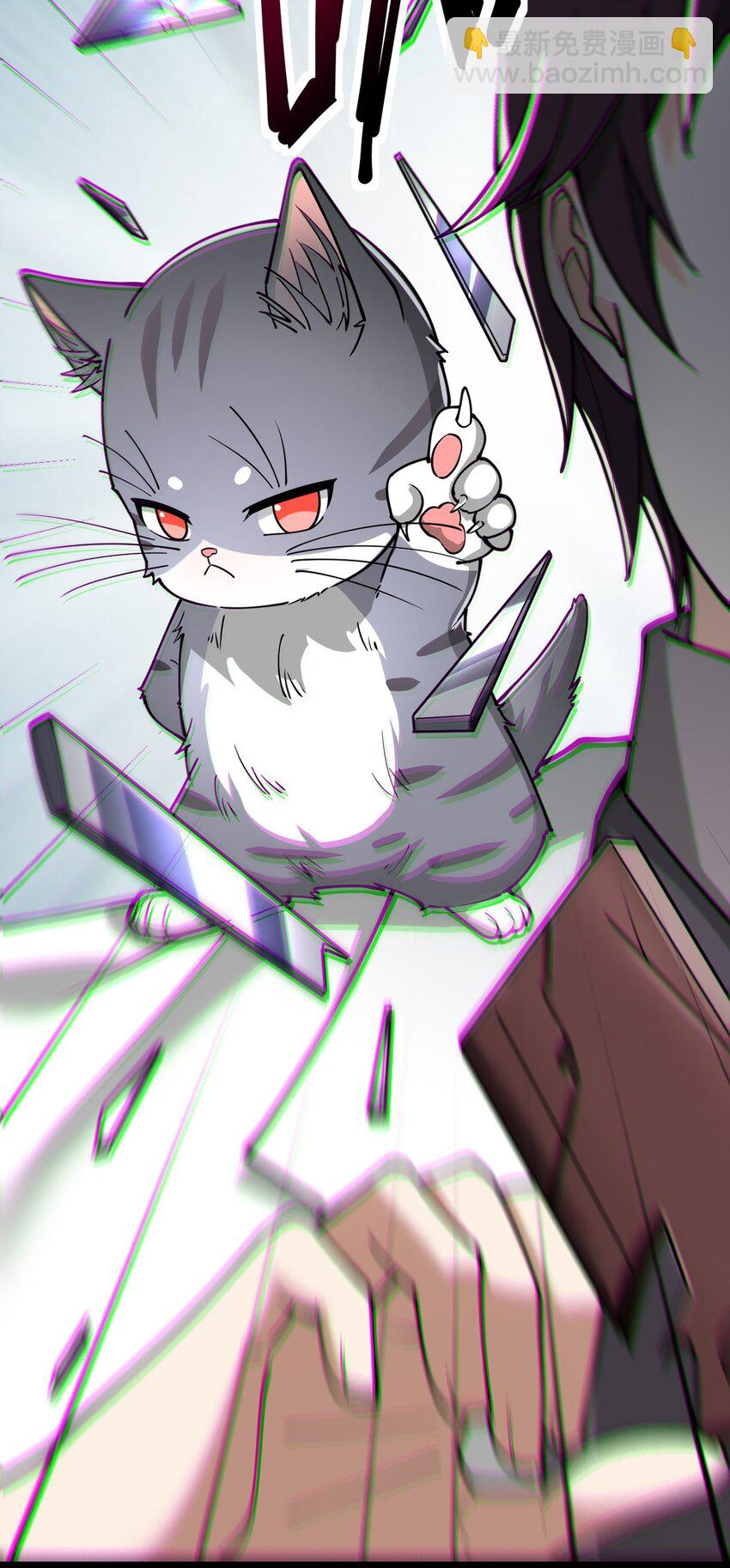 036 喵仙人出场！29