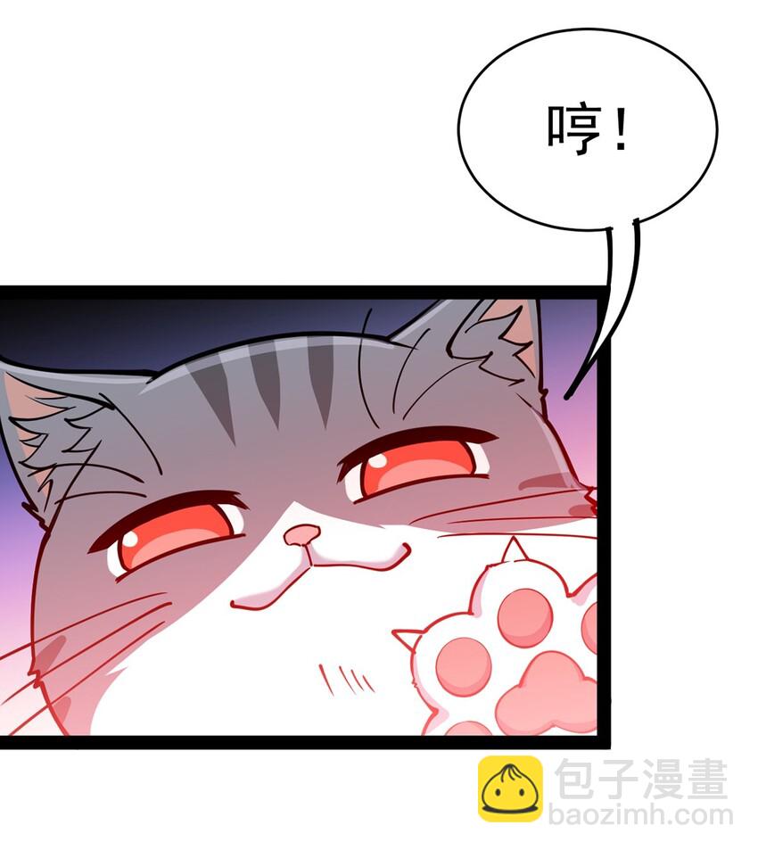 036 喵仙人出场！36