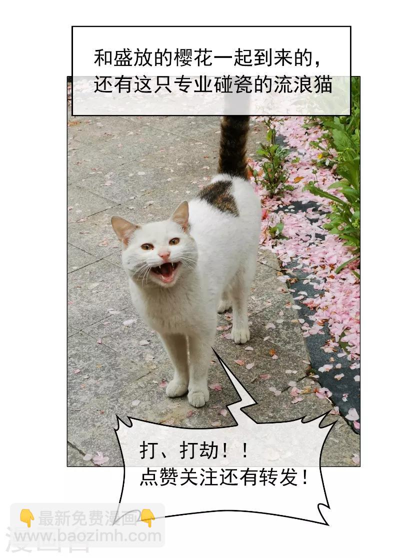 第52话 史密斯家族36