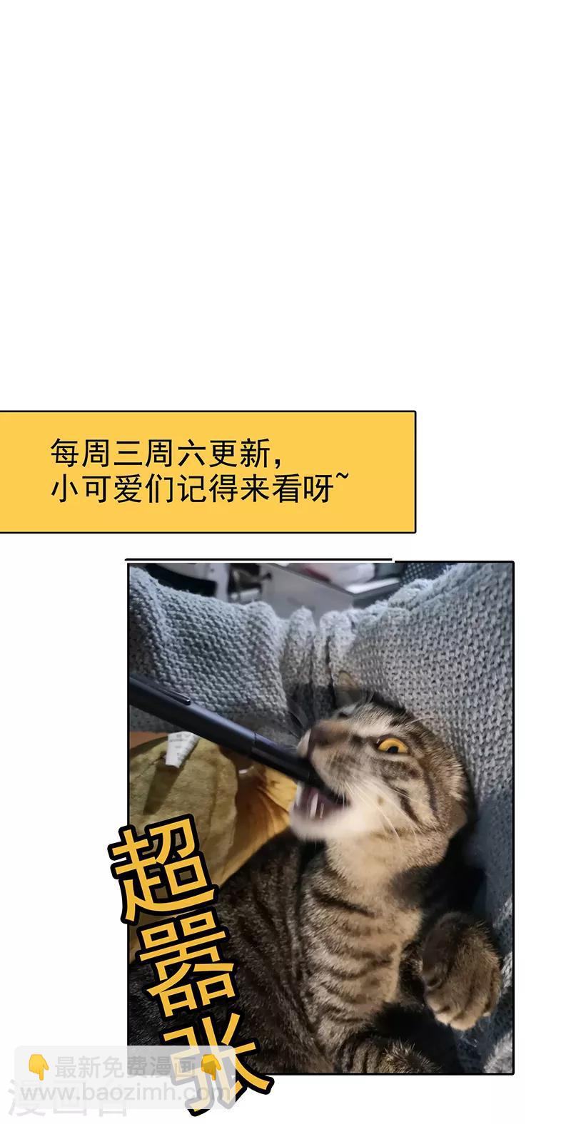 第104话 红烧牛肉面53