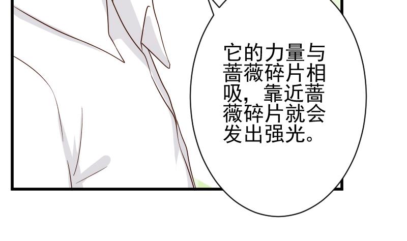 第83话 把蔷薇碎片带回来13