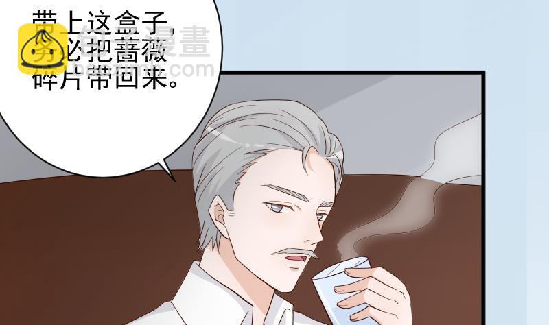 第83话 把蔷薇碎片带回来4