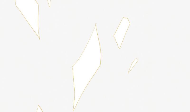 第206话 卡珊卓拉的记忆碎片9