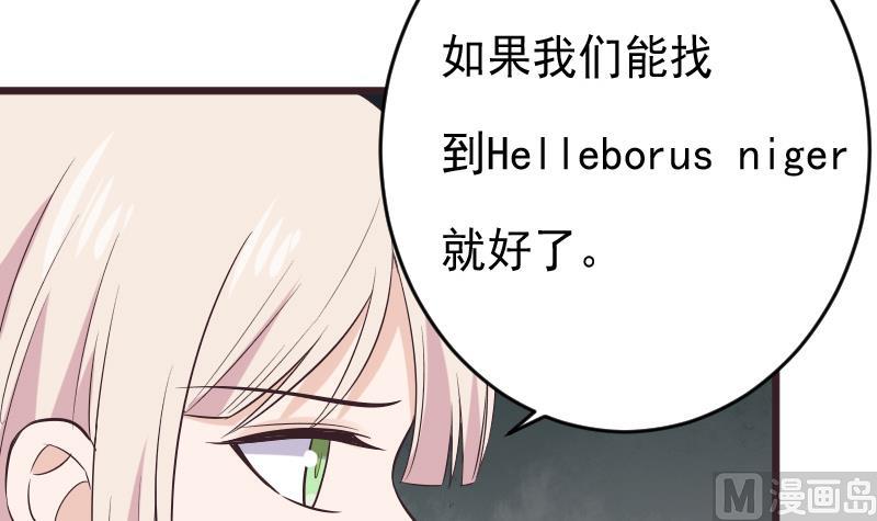 第276话 圣诞玫瑰38