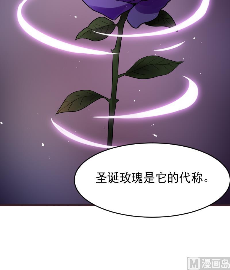 第276话 圣诞玫瑰54