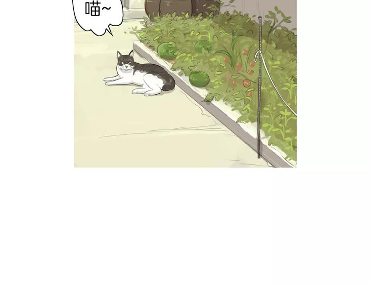 第5话 不是我而是为了某人19
