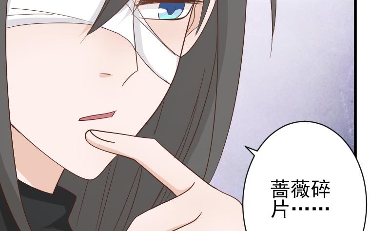 第73话 蔷薇碎片4