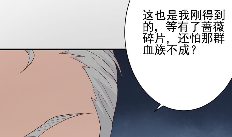 第83话 把蔷薇碎片带回来17
