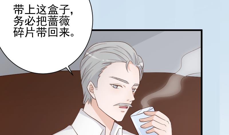 第83话 把蔷薇碎片带回来4