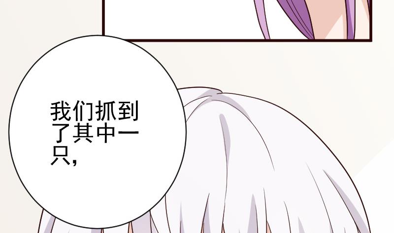 第107话 那一夜的真相34