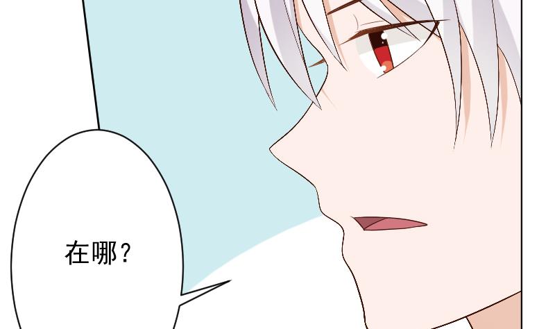 第146话 Angle再次出现！3
