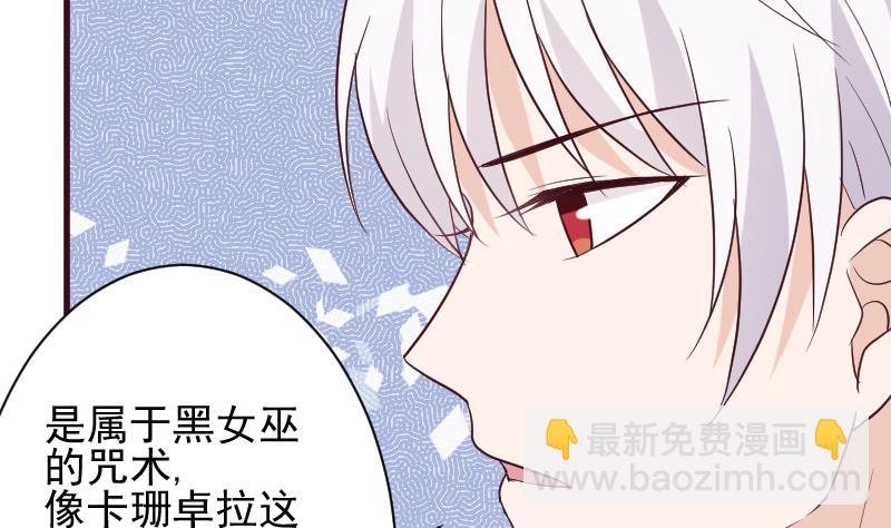 第161话 兄弟联手3