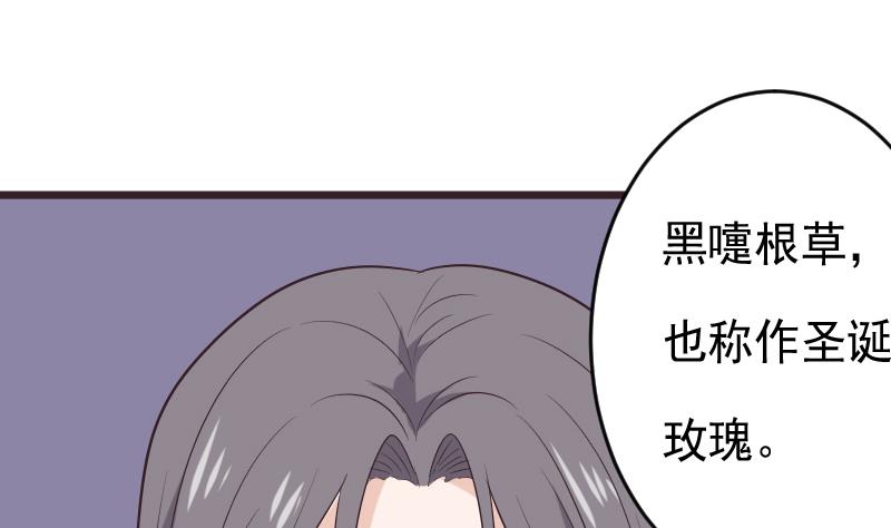 第276话 圣诞玫瑰43