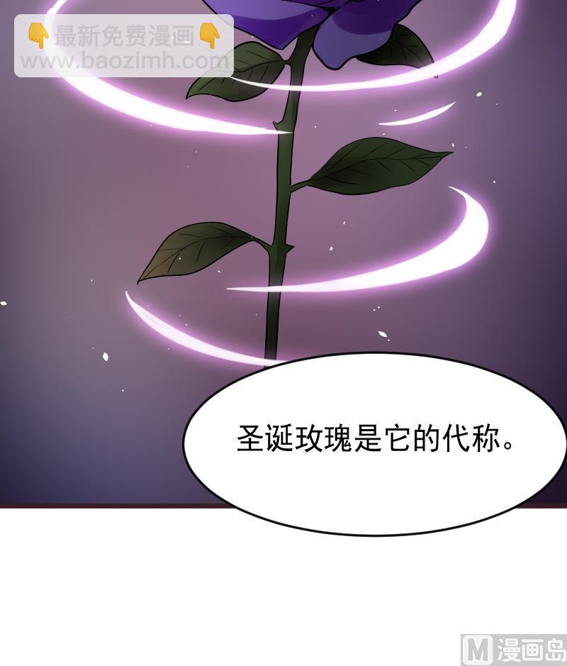 第276话 圣诞玫瑰54
