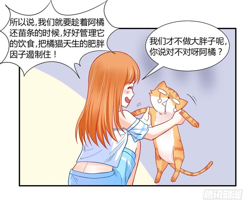 默默守护你0