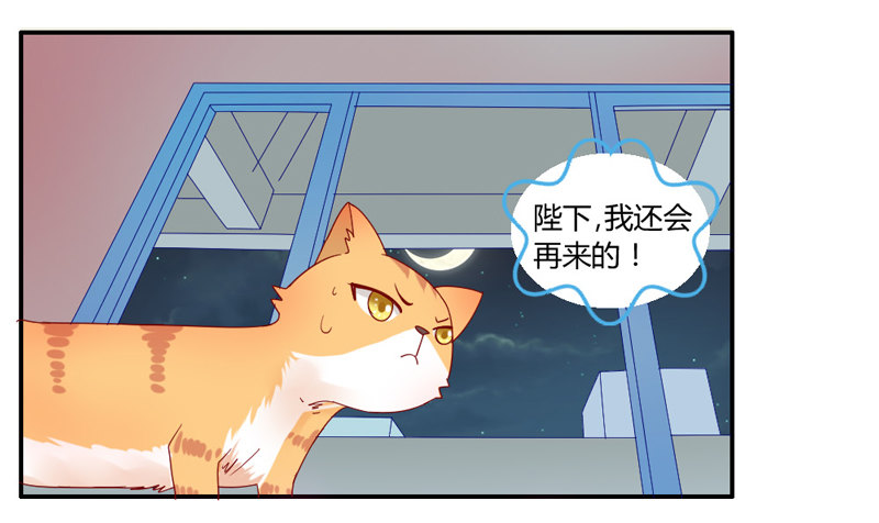 默默守护你31