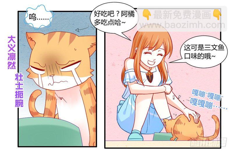 默默守护你6