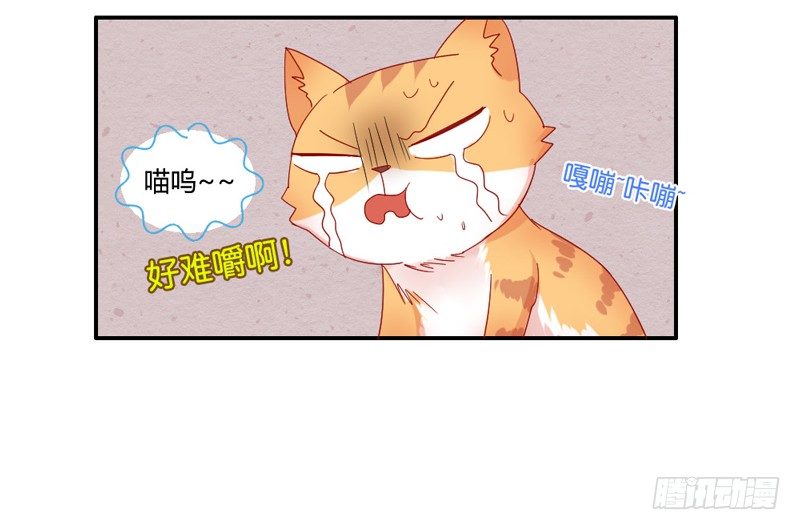 默默守护你7