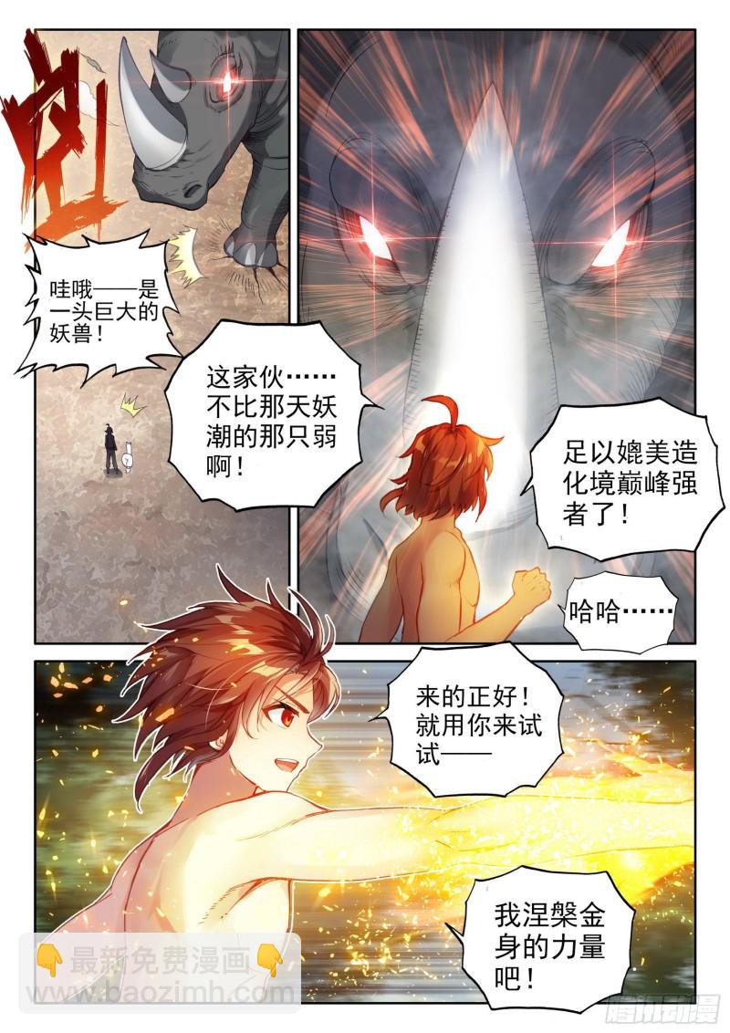 112 修炼金身11
