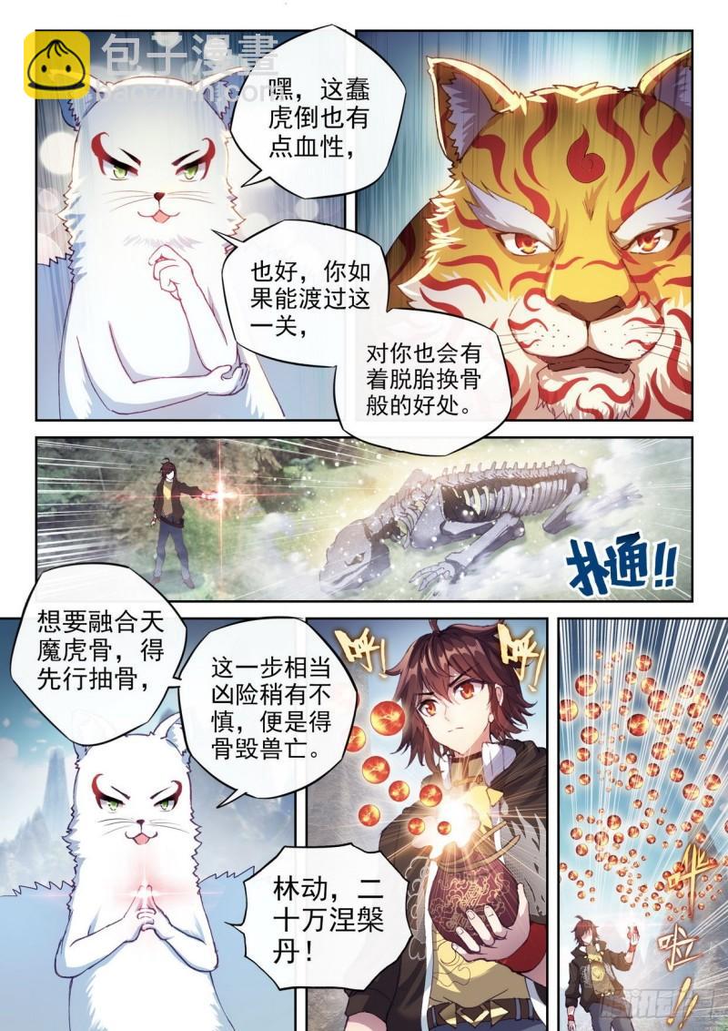 154 虎骨到手14