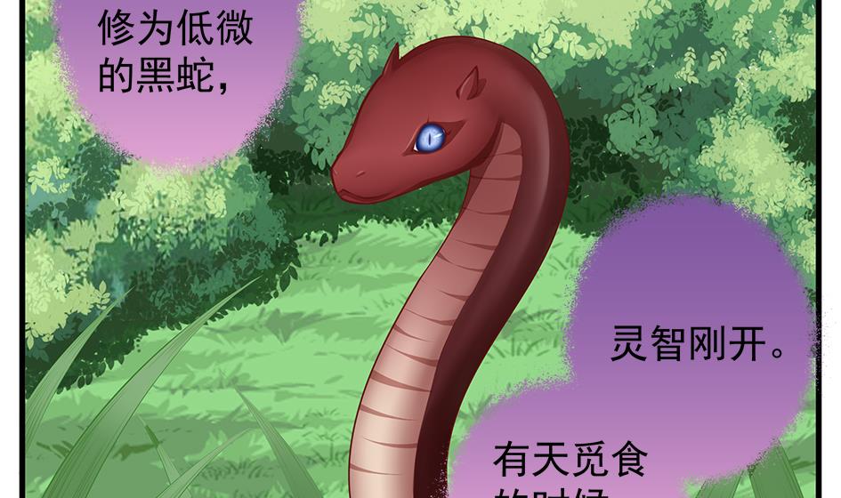 第134劫 孽缘 418