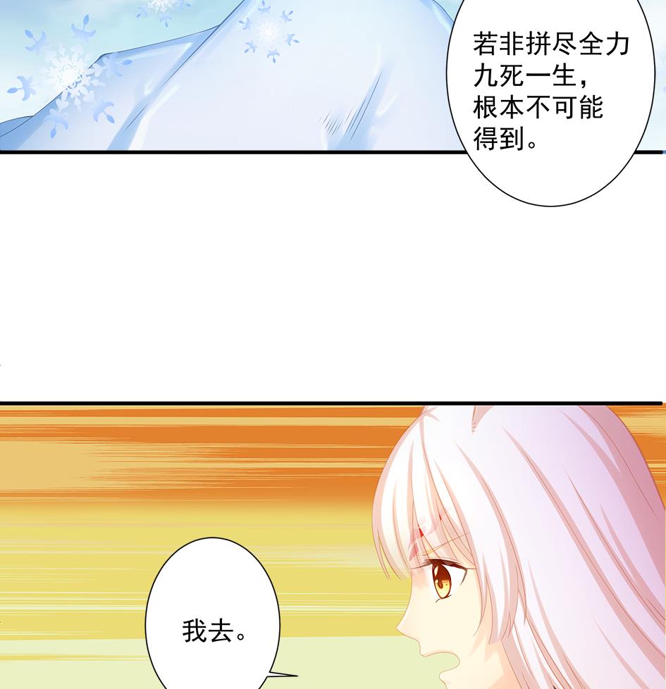 第201话 变小了的御华铭48