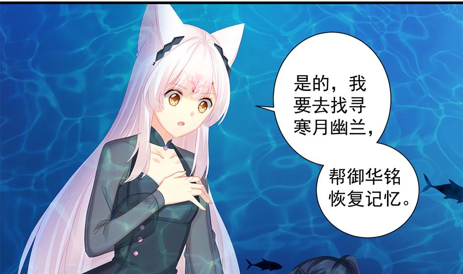第204话 启程3