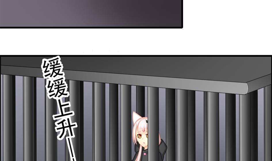 第210话 拍卖进行时 242