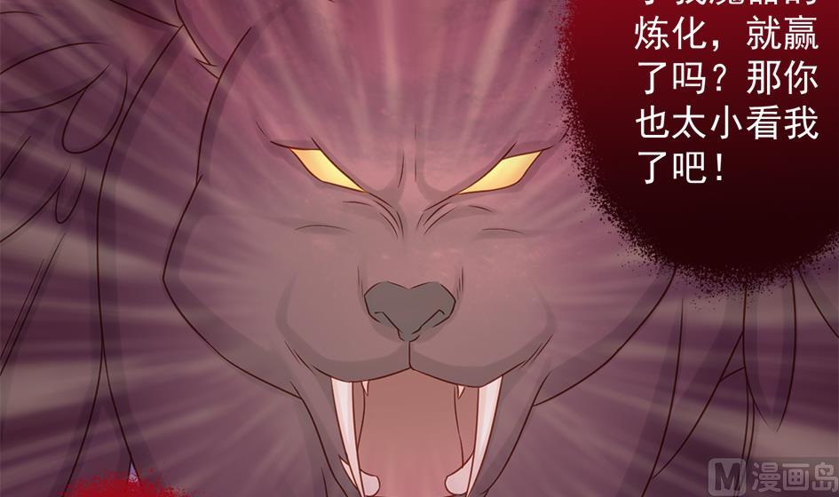 第221话 她是我的17