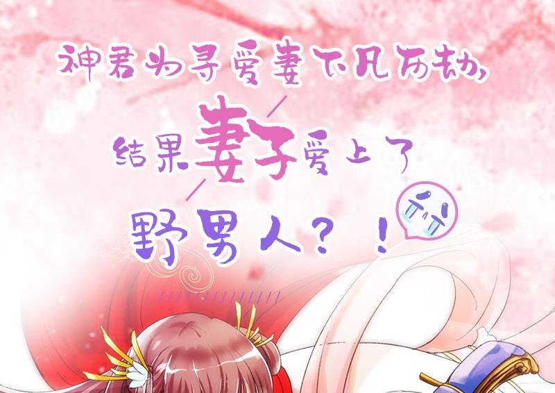 第221话 她是我的45