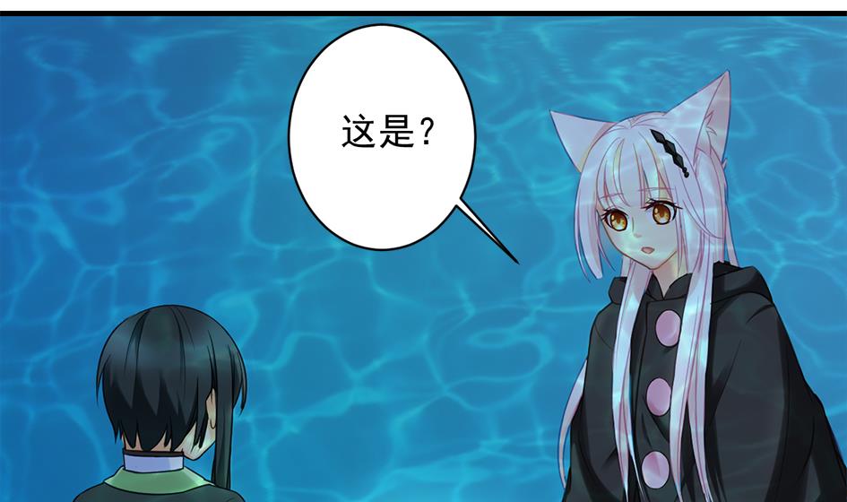 第227话 木之精15