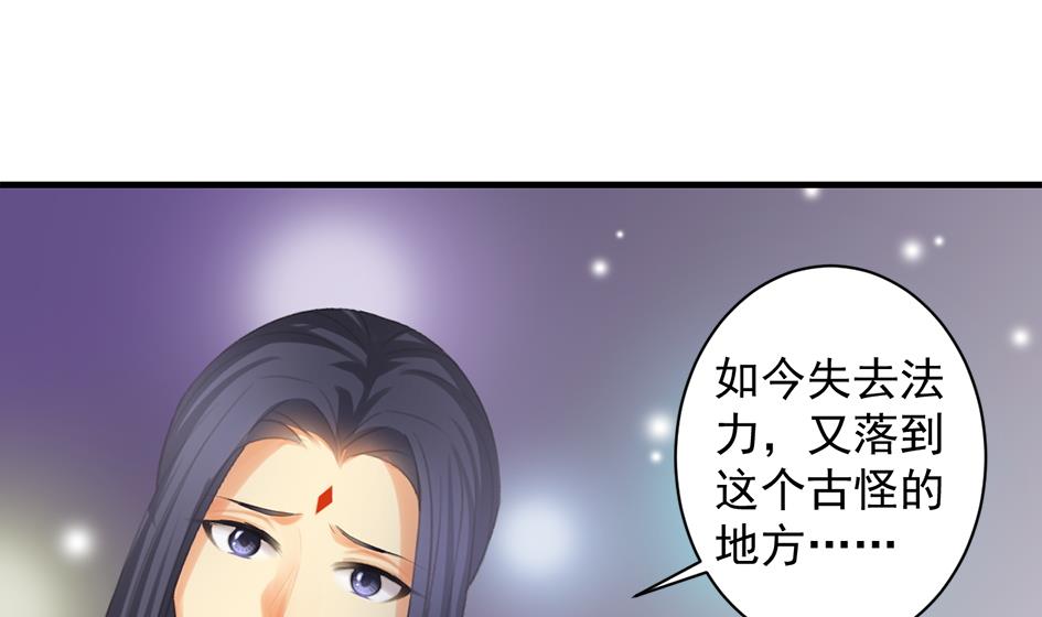 第244话 集体变凡人40