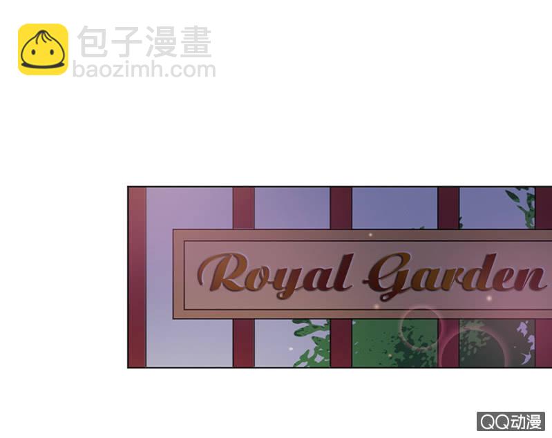 派对15