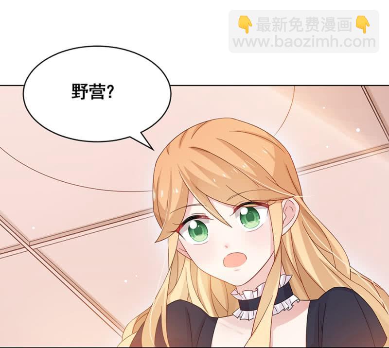 野营11
