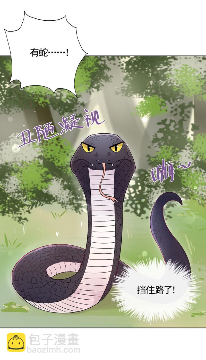 无视17