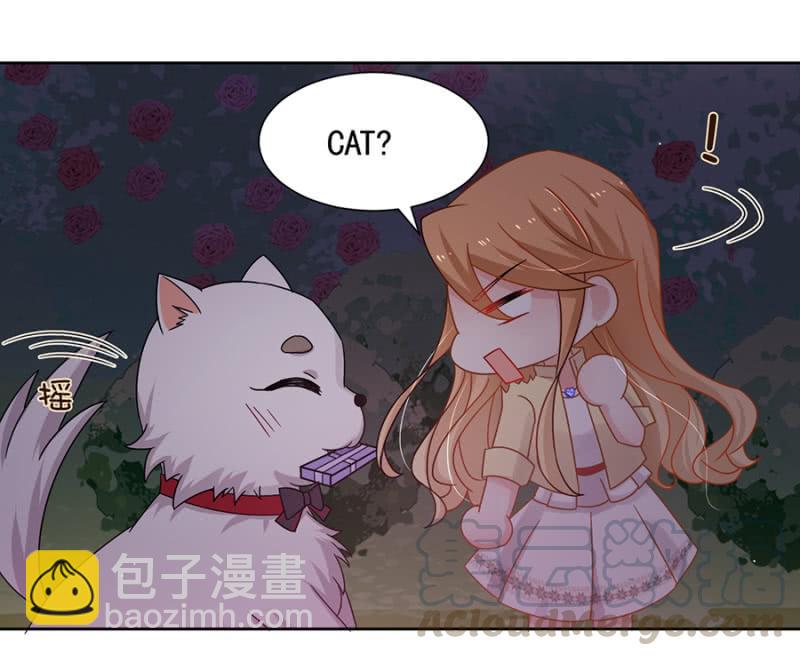 这个大笨蛋！20