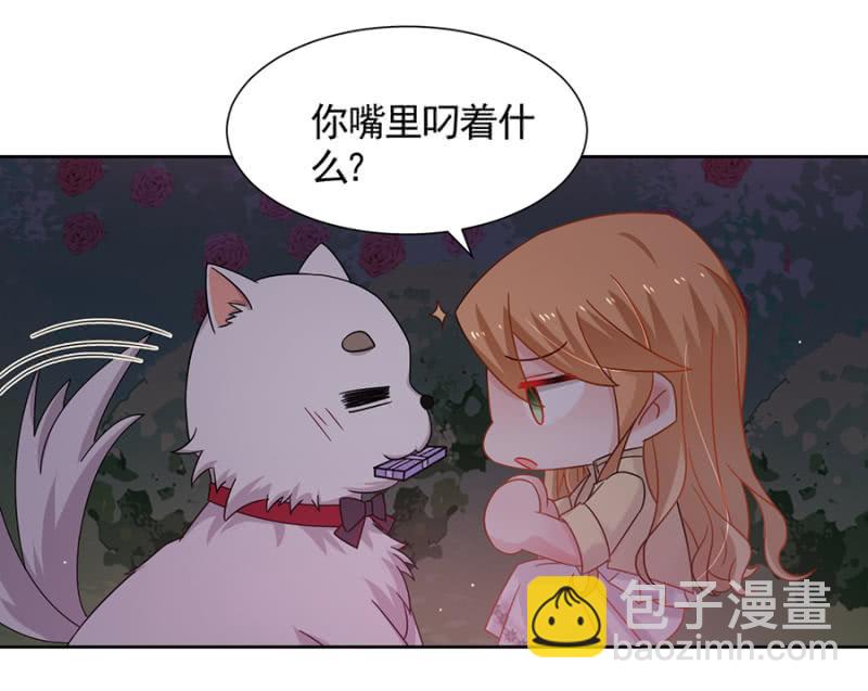 这个大笨蛋！21