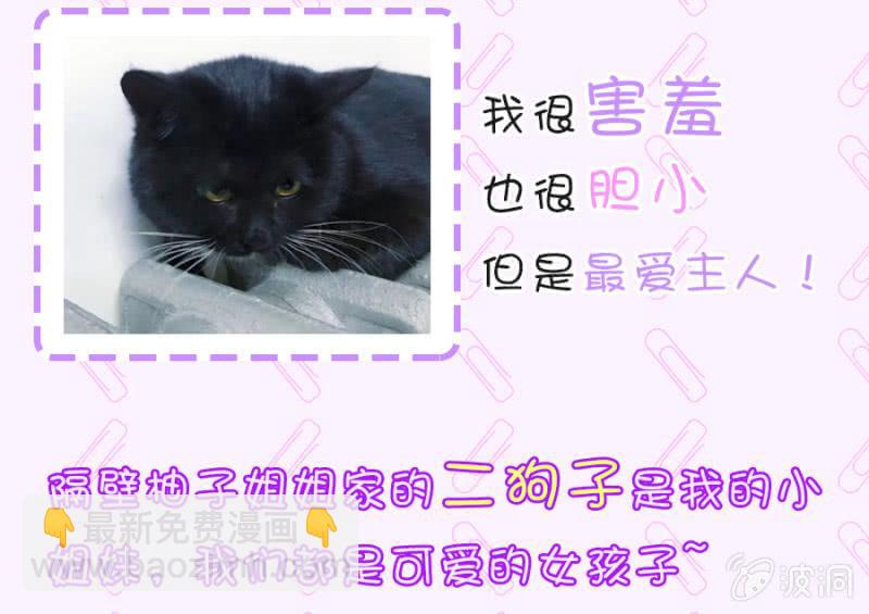 夏曼妮的挑衅36