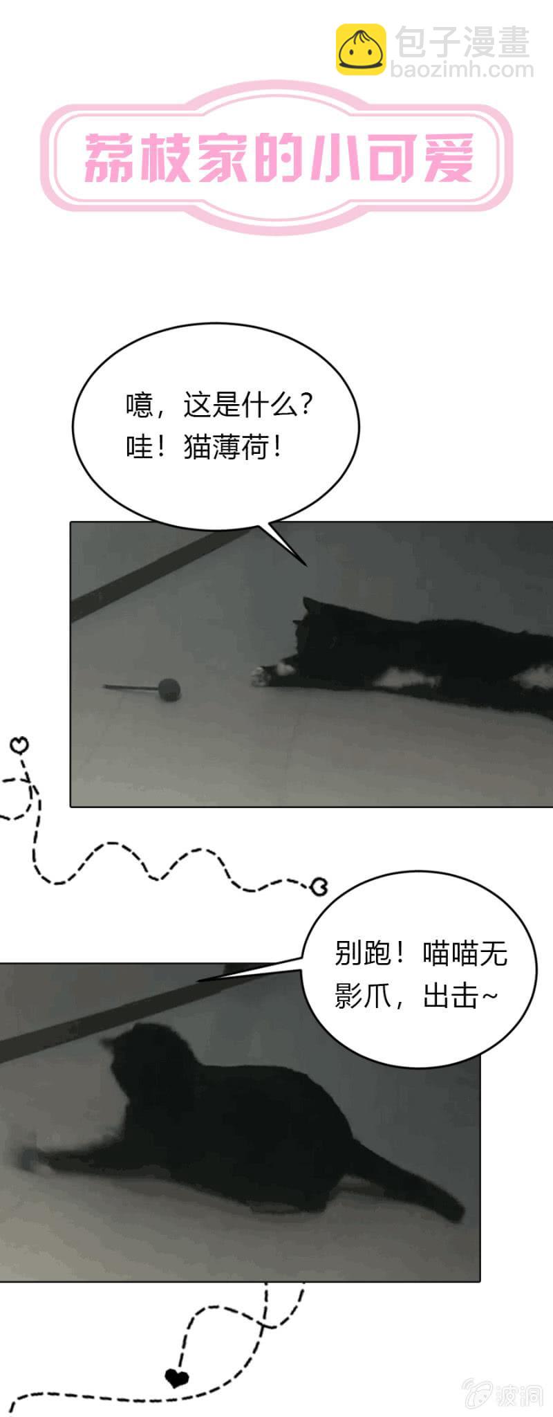 先礼后兵？16
