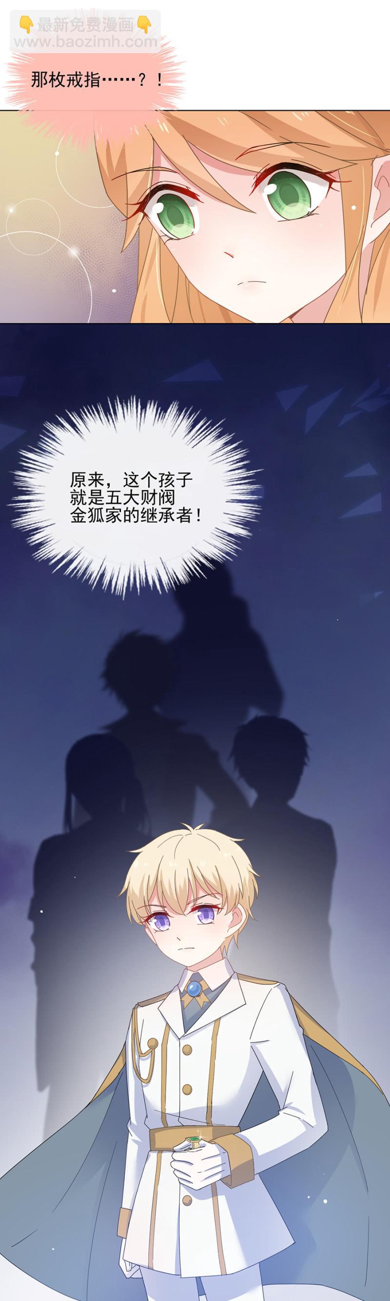 金狐家继承人11