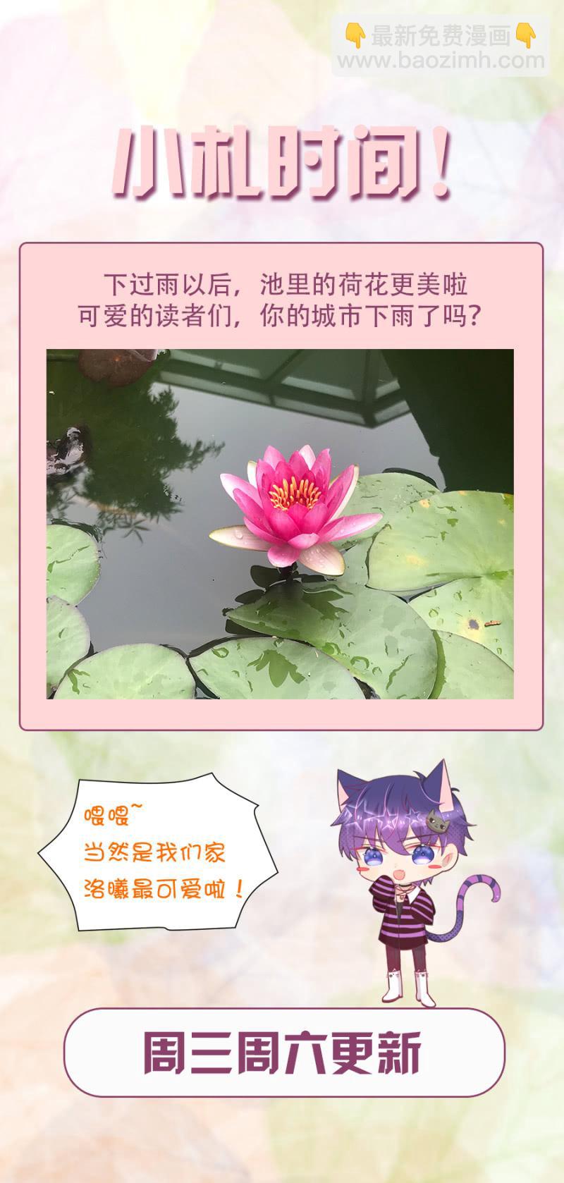 我是不是特别讨厌19