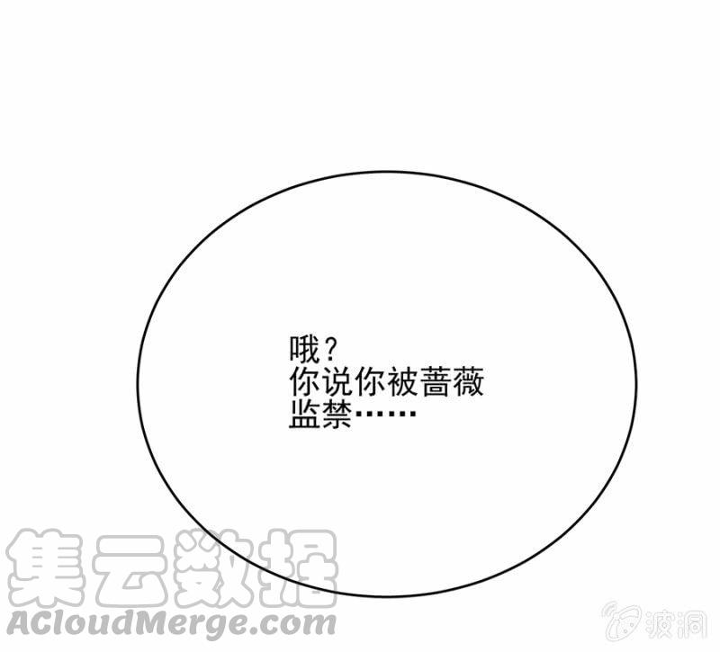计谋入社36