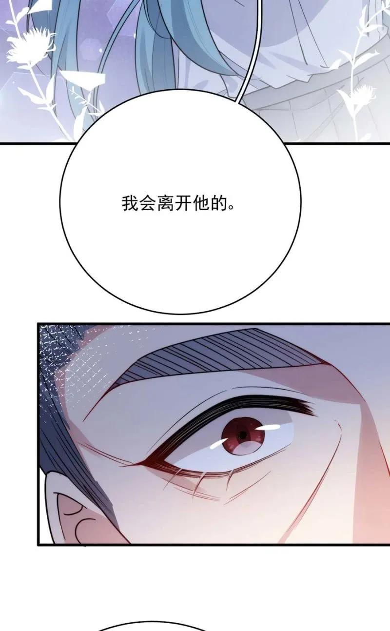 阴谋11