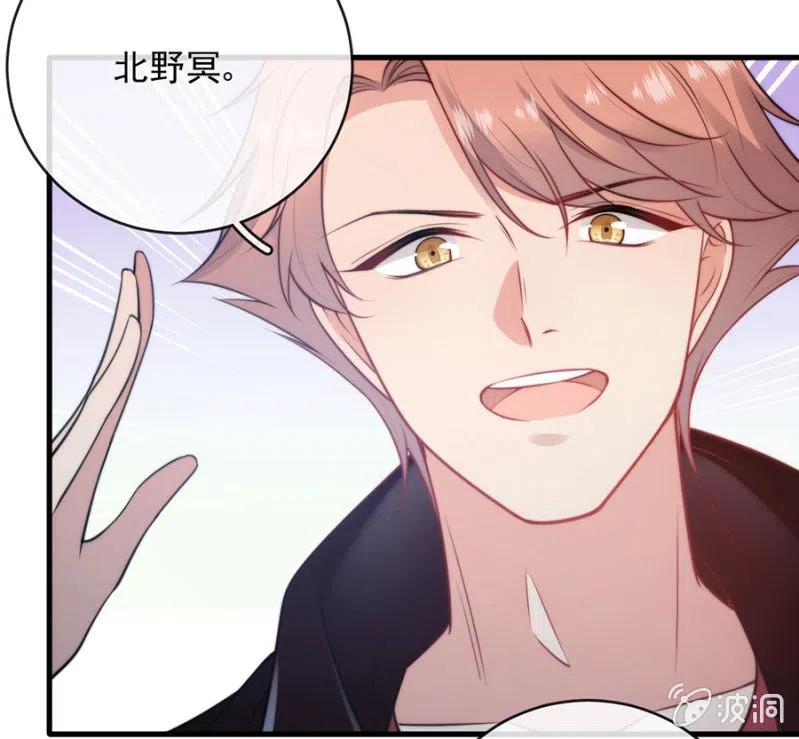 担保20