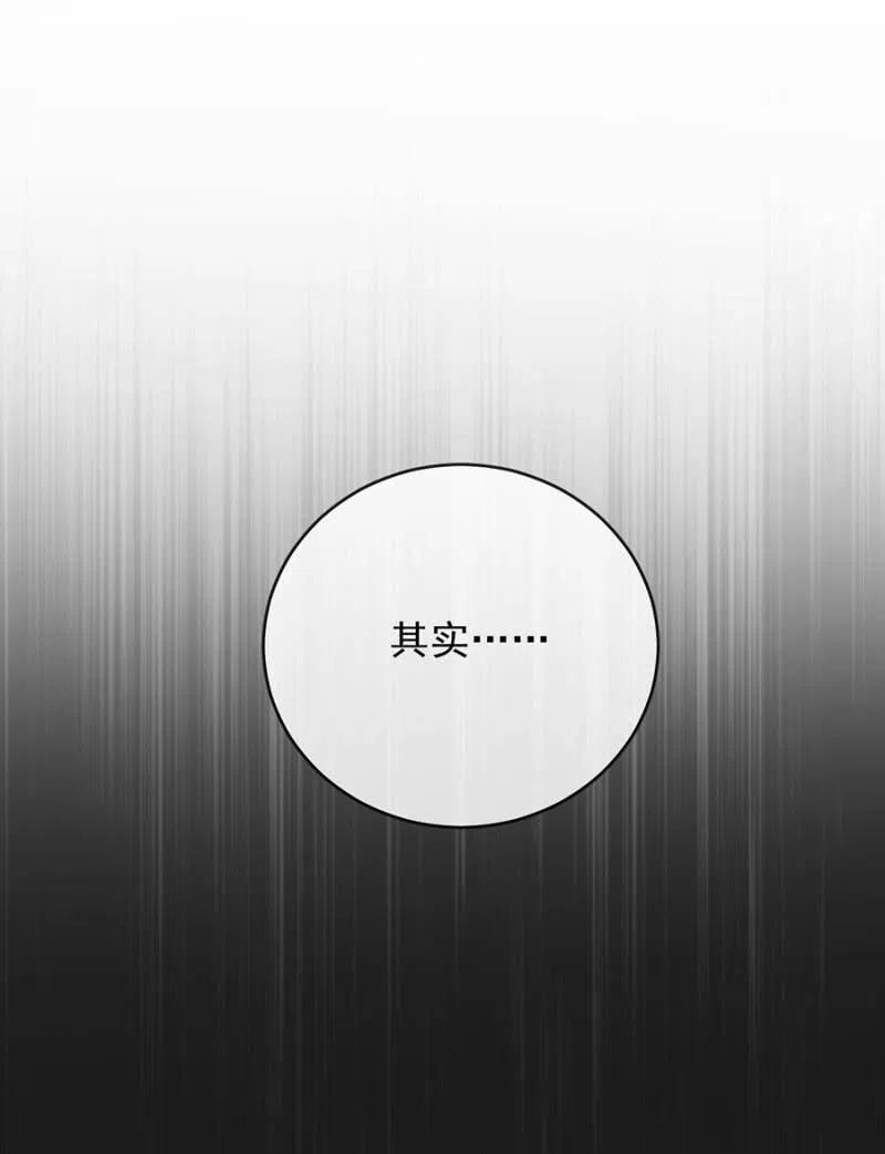 帷幕11