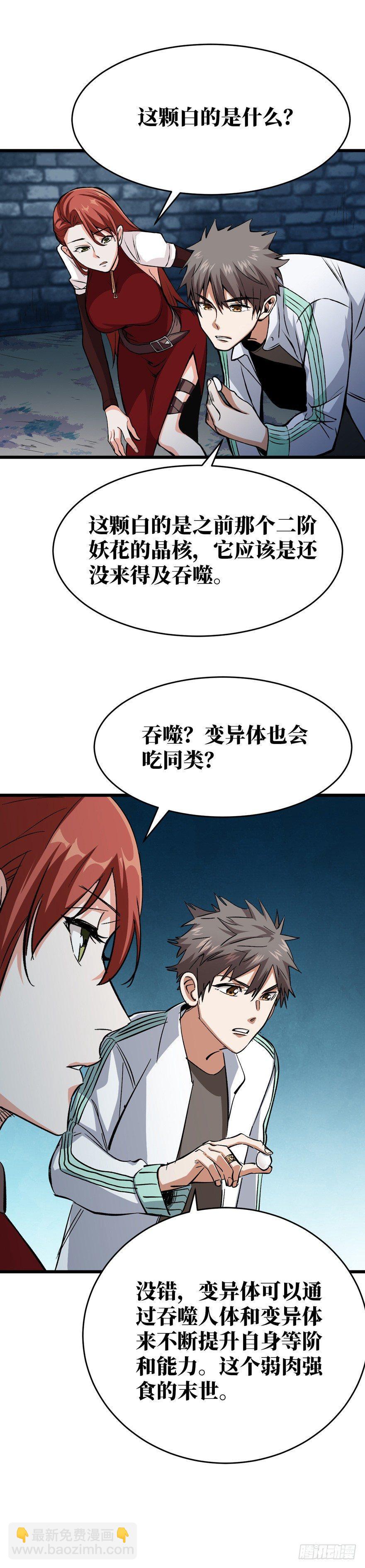 孢子的捆绑艺术25