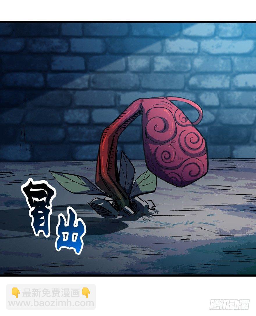 孢子的捆绑艺术26