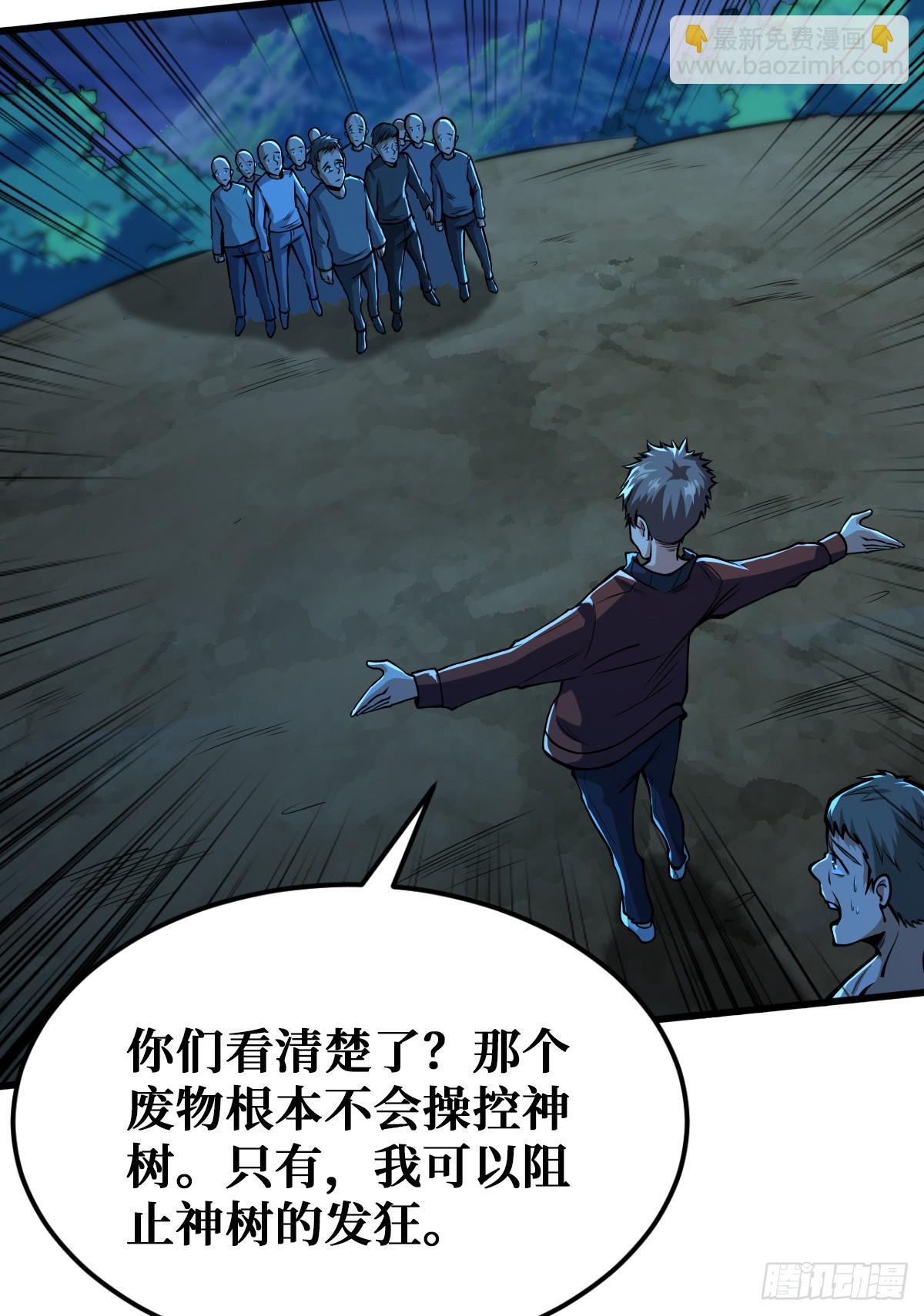神树发威24